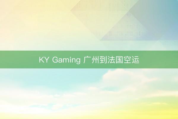 KY Gaming 广州到法国空运