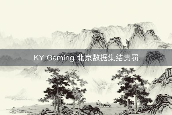 KY Gaming 北京数据集结责罚
