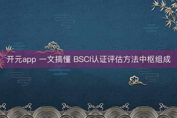 开元app 一文搞懂 BSCI认证评估方法中枢组成