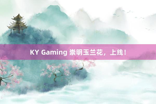 KY Gaming 崇明玉兰花，上线！
