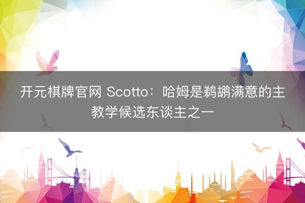 开元棋牌官网 Scotto：哈姆是鹈鹕满意的主教学候选东谈主之一