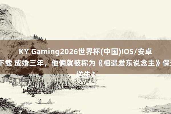 KY Gaming2026世界杯(中国)IOS/安卓官方下载 成婚三年,他俩就被称为《相遇爱东说念主》保送生?