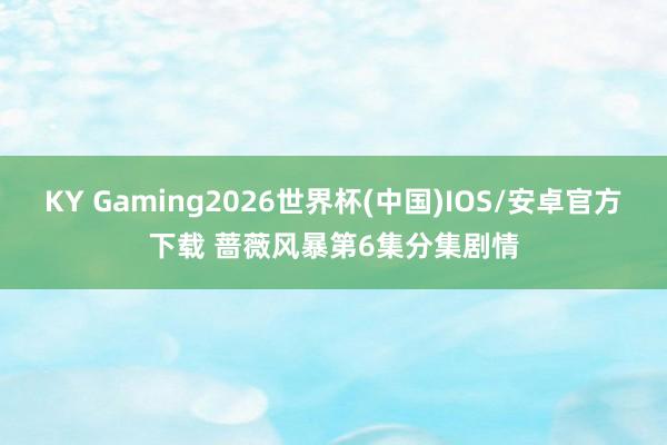 KY Gaming2026世界杯(中国)IOS/安卓官方下载 蔷薇风暴第6集分集剧情