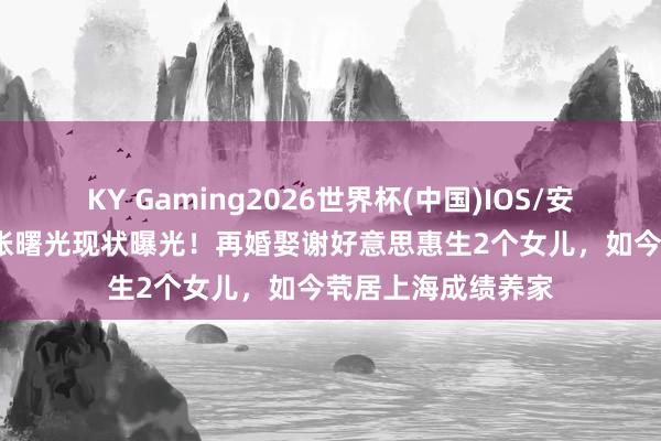 KY Gaming2026世界杯(中国)IOS/安卓官方下载 69岁张曙光现状曝光!再婚娶谢好意思惠生2个女儿,如今茕居上海成绩养家