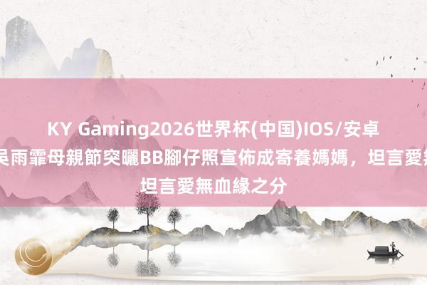 KY Gaming2026世界杯(中国)IOS/安卓官方下载 吳雨霏母親節突曬BB腳仔照宣佈成寄養媽媽，坦言愛無血緣之分