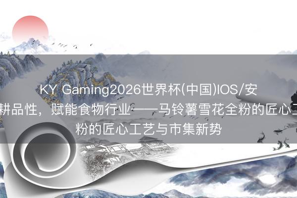 KY Gaming2026世界杯(中国)IOS/安卓官方下载 深耕品性，赋能食物行业——马铃薯雪花全粉的匠心工艺与市集新势