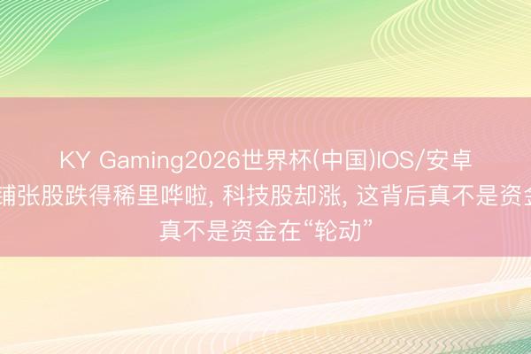 KY Gaming2026世界杯(中国)IOS/安卓官方下载 铺张股跌得稀里哗啦， 科技股却涨， 这背后真不是资金在“轮动”