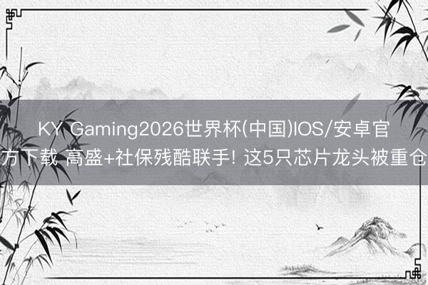 KY Gaming2026世界杯(中国)IOS/安卓官方下载 高盛+社保残酷联手! 这5只芯片龙头被重仓