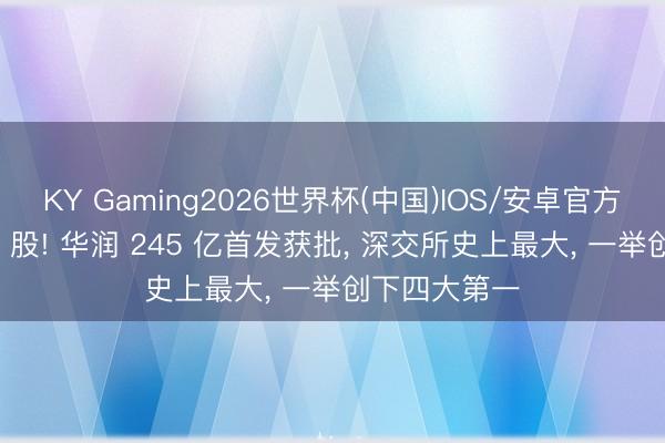 KY Gaming2026世界杯(中国)IOS/安卓官方下载 欢畅 A 股! 华润 245 亿首发获批, 深交所史上最大, 一举创下四大第一