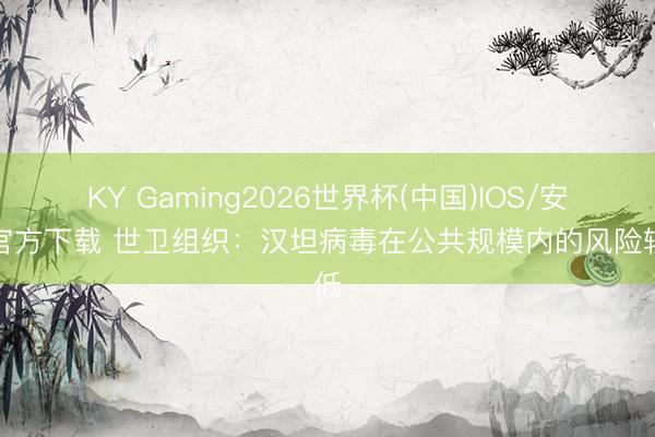 KY Gaming2026世界杯(中国)IOS/安卓官方下载 世卫组织:汉坦病毒在公共规模内的风险较低