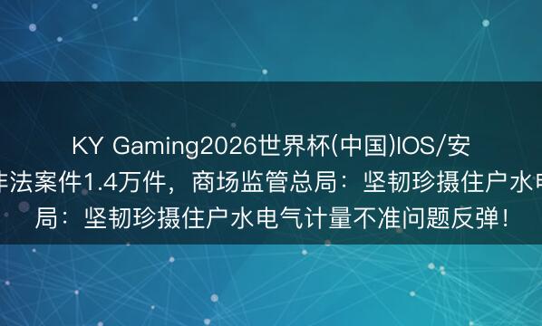 KY Gaming2026世界杯(中国)IOS/安卓官方下载 客岁查办非法案件1.4万件，商场监管总局：坚韧珍摄住户水电气计量不准问题反弹！
