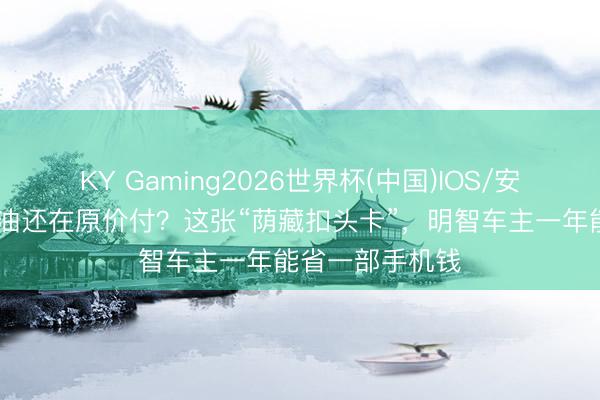 KY Gaming2026世界杯(中国)IOS/安卓官方下载 加油还在原价付?这张“荫藏扣头卡”,明智车主一年能省一部手机钱