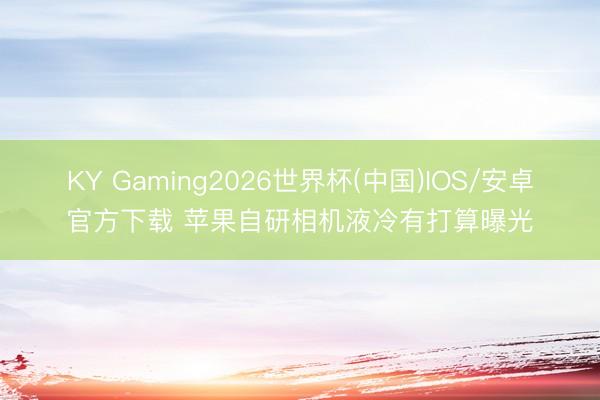 KY Gaming2026世界杯(中国)IOS/安卓官方下载 苹果自研相机液冷有打算曝光