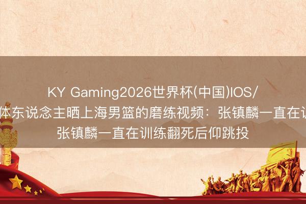 KY Gaming2026世界杯(中国)IOS/安卓官方下载 媒体东说念主晒上海男篮的磨练视频：张镇麟一直在训练翻死后仰跳投