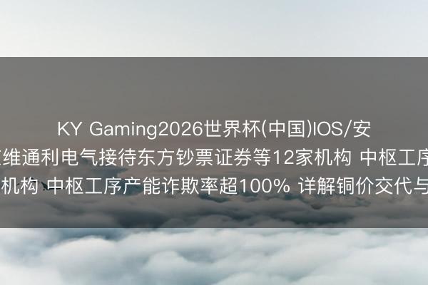 KY Gaming2026世界杯(中国)IOS/安卓官方下载 调研速递|北京维通利电气接待东方钞票证券等12家机构 中枢工序产能诈欺率超100% 详解铜价交代与储能布局