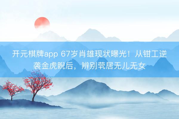 开元棋牌app 67岁肖雄现状曝光！从钳工逆袭金虎睨后，辨别茕居无儿无女