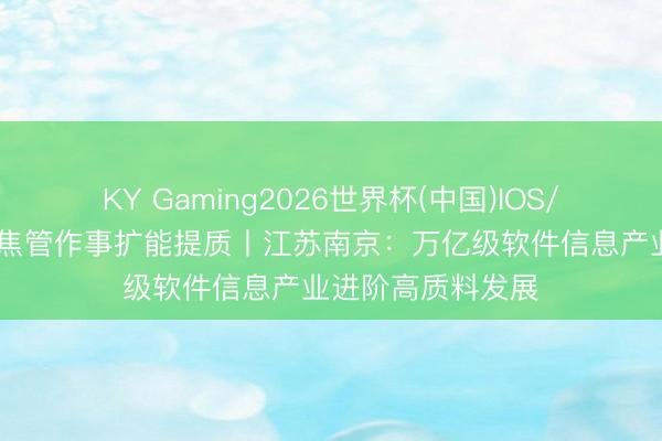 KY Gaming2026世界杯(中国)IOS/安卓官方下载 聚焦管作事扩能提质丨江苏南京:万亿级软件信息产业进阶高质料发展