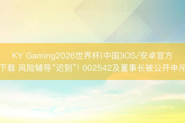 KY Gaming2026世界杯(中国)IOS/安卓官方下载 风险辅导“迟到”! 002542及董事长被公开申斥