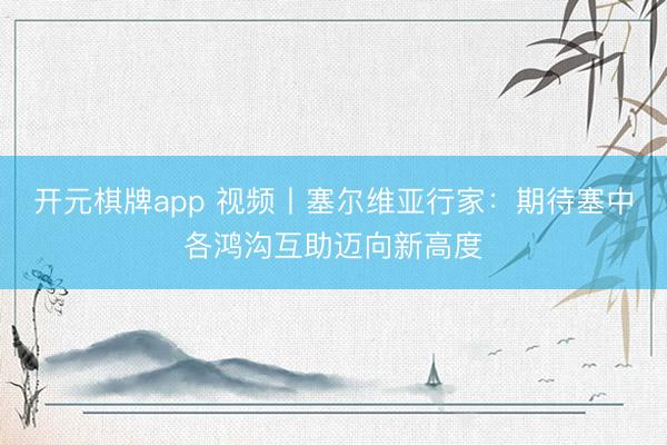 开元棋牌app 视频丨塞尔维亚行家:期待塞中各鸿沟互助迈向新高度
