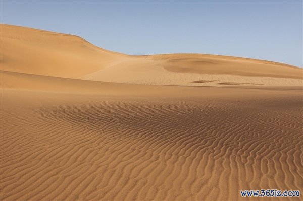 中国机器东谈主开动科罚沙漠了:成果远胜东谈主工