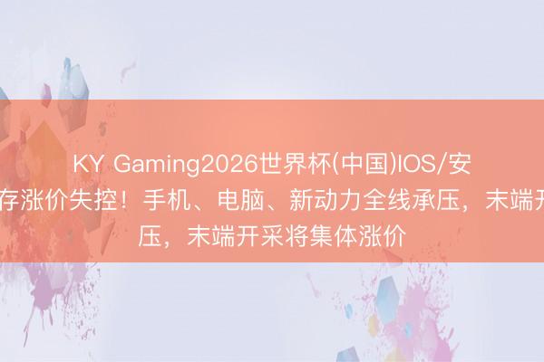 KY Gaming2026世界杯(中国)IOS/安卓官方下载 内存涨价失控!手机、电脑、新动力全线承压,末端开采将集体涨价